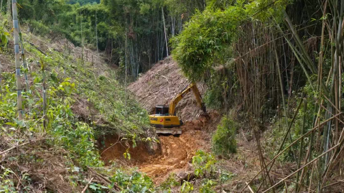 林間“藏龍”，竹?！芭P虎”——徐工林業(yè)挖機廣西俠客行
